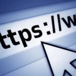 website visitors